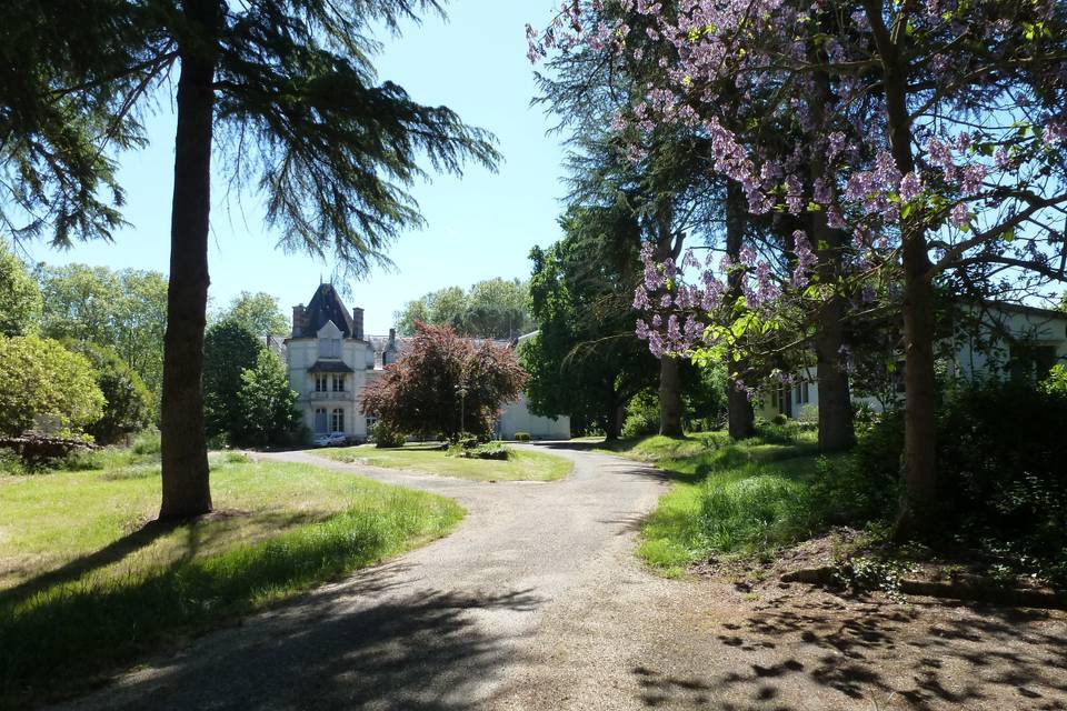 Château de Morin