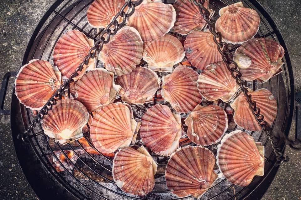 Coquilles St Jacques grillées