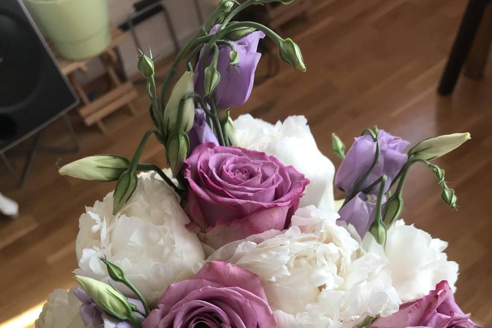 Collection pivoine