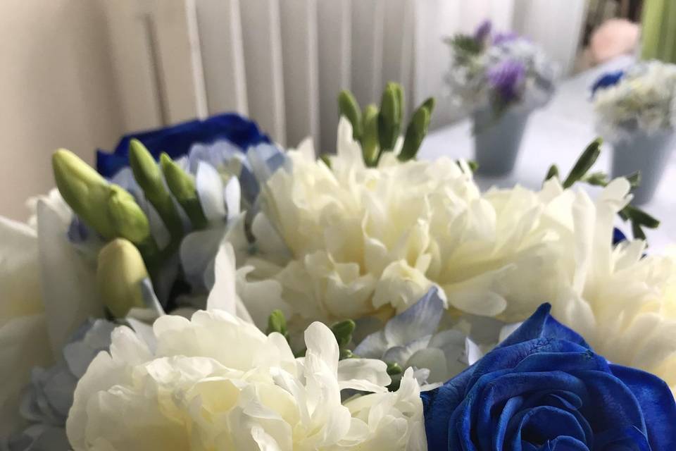 Collection pivoine