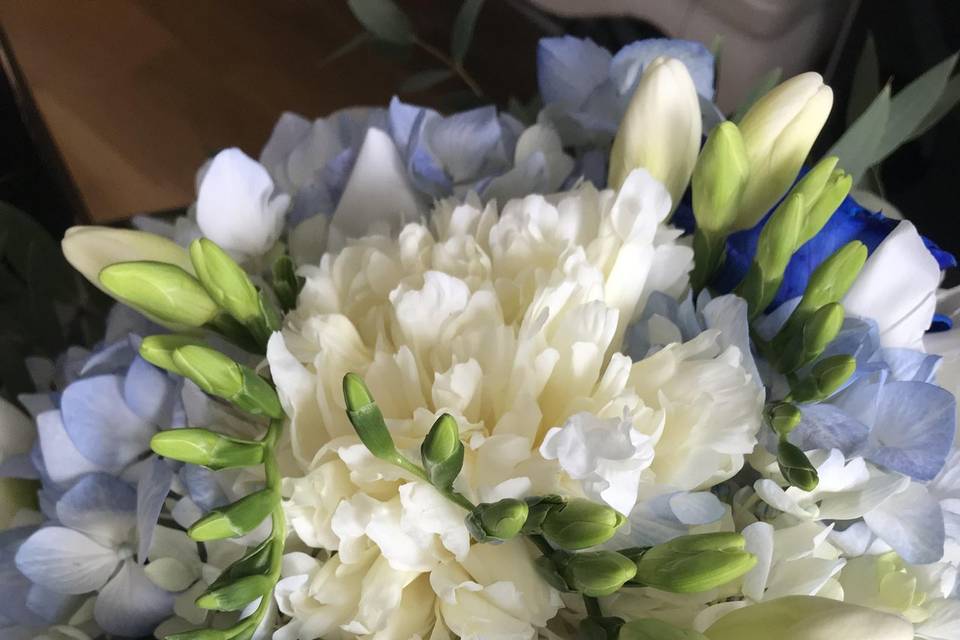 Collection pivoine