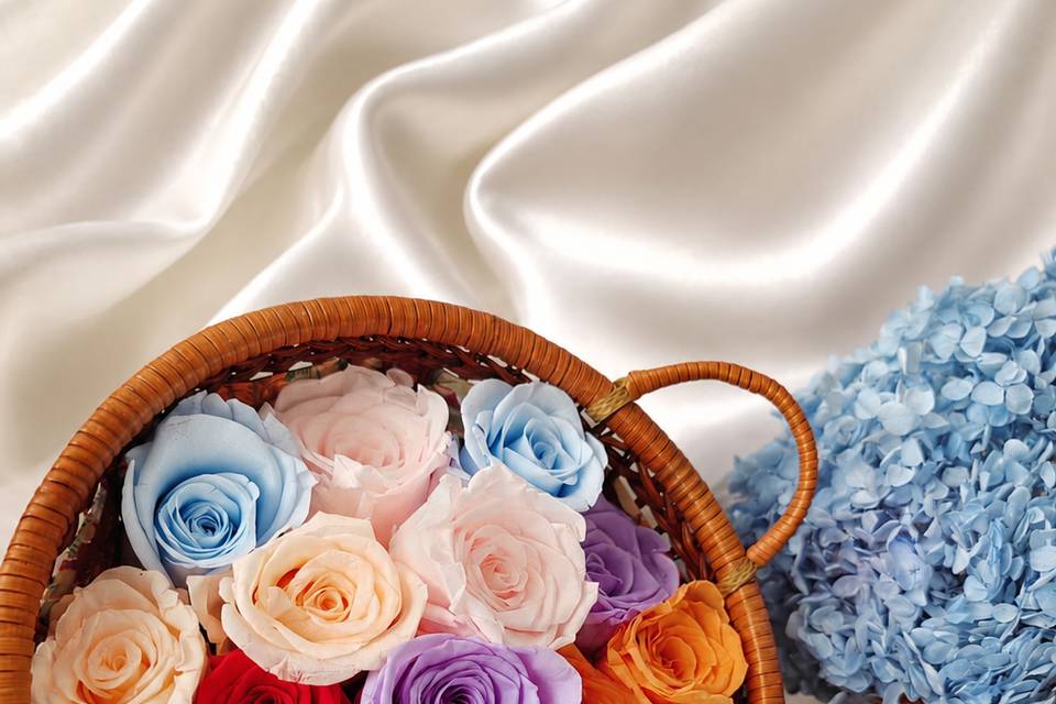 Fleurs Rose/ Hortensias