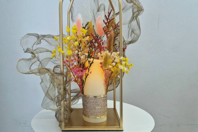 Creation celichoupiedeco