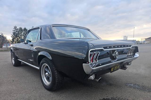 Mustang