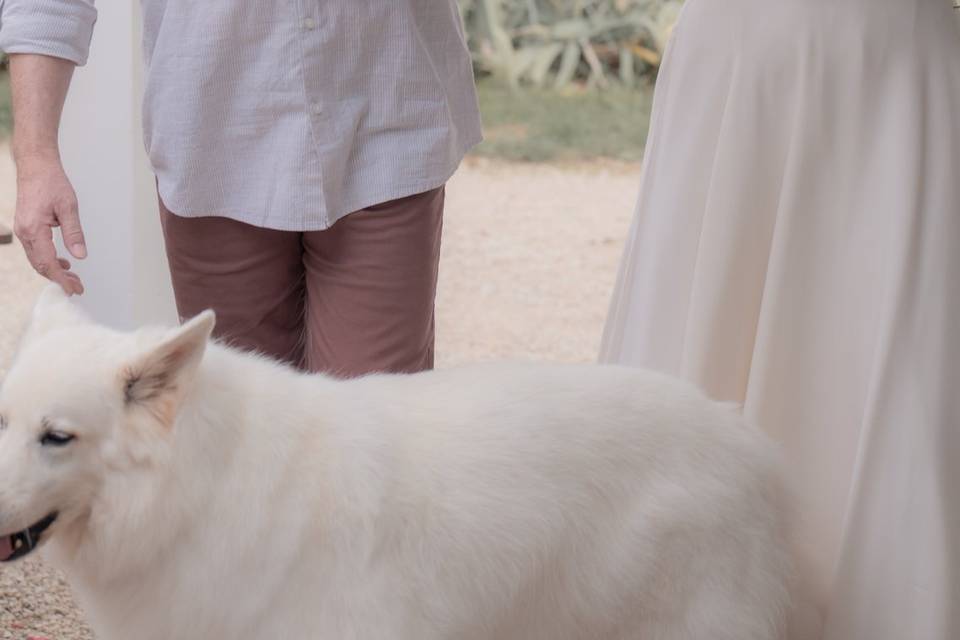 LE PAPA ET SA FILLE