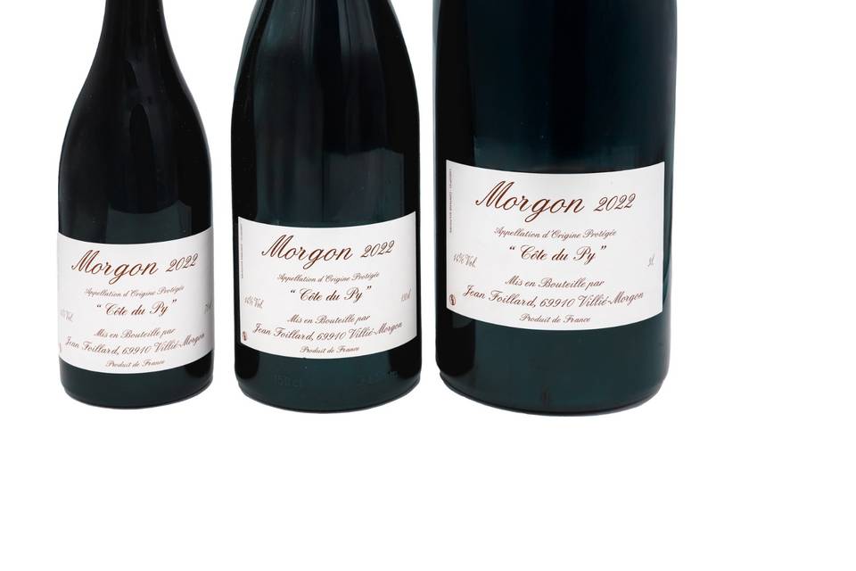 Domaine Jean Foillard
