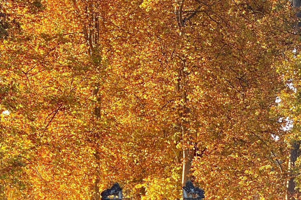 Autumnal entrance