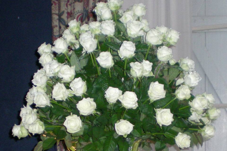 Vase de Roses Blanches