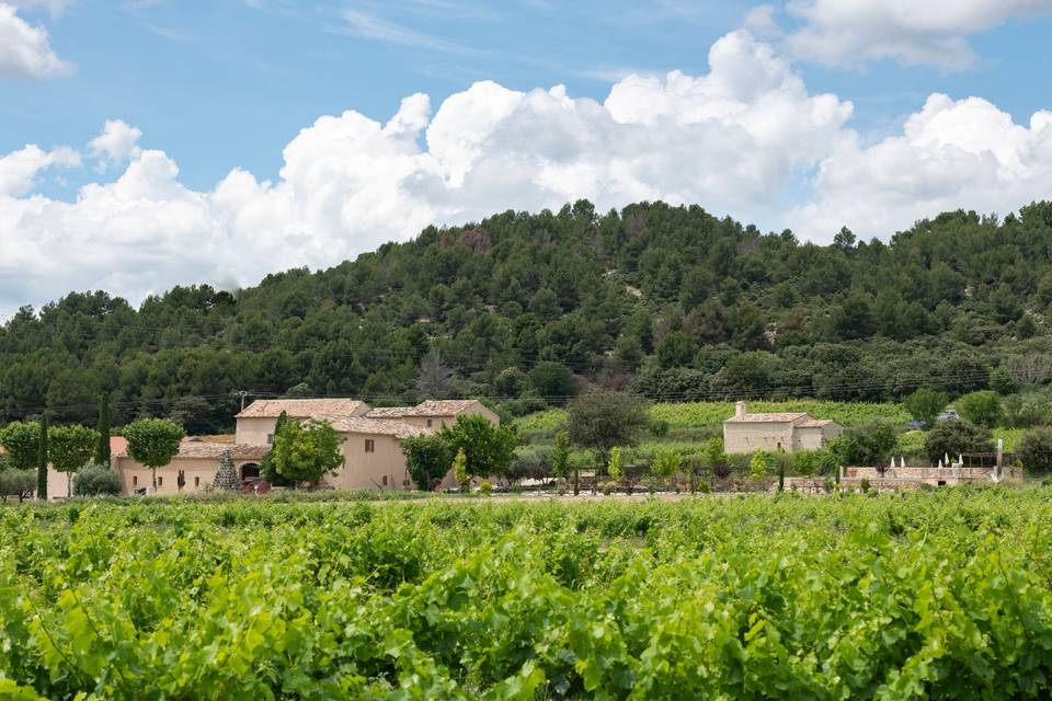 Le domaine depuis les vignes