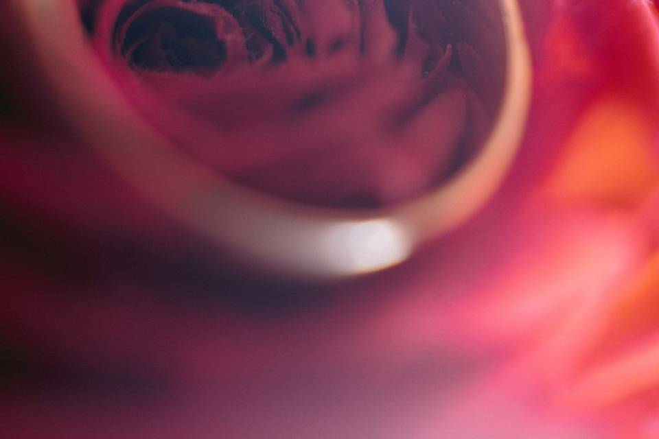 Mariage en lumière naturelle —