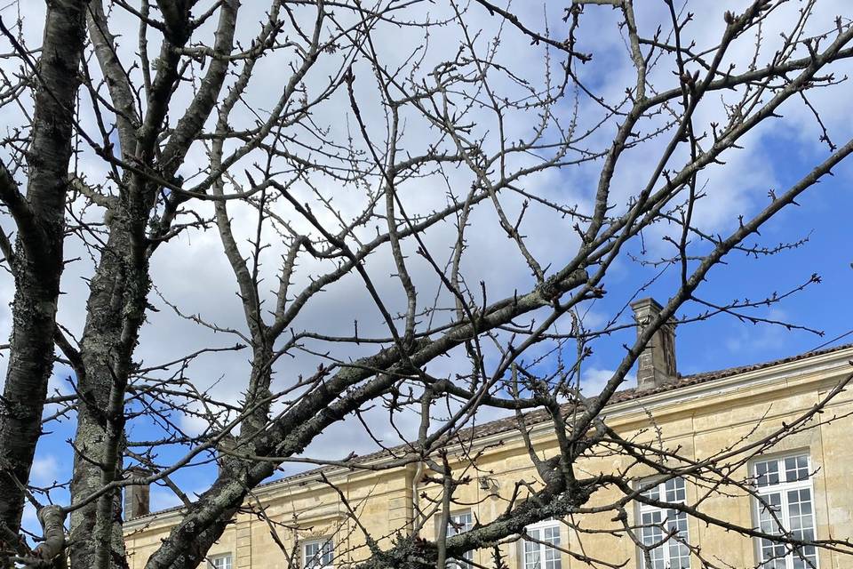 Journée d’hiver