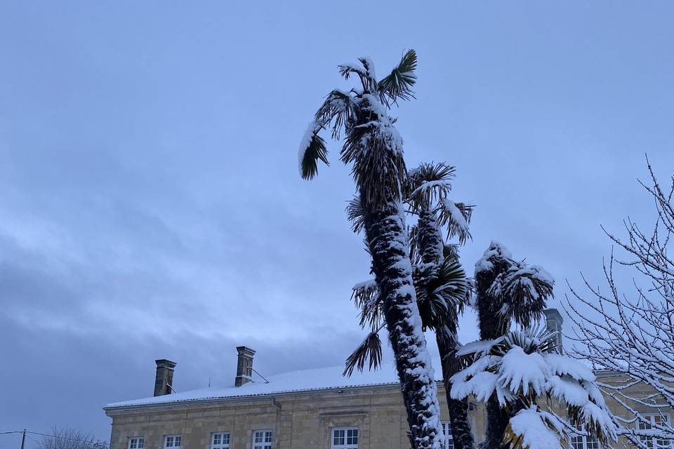 Sous la neige