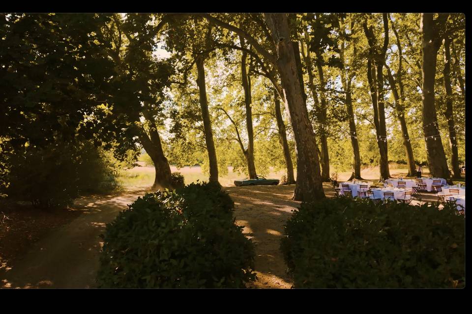 Arrivée des mariés