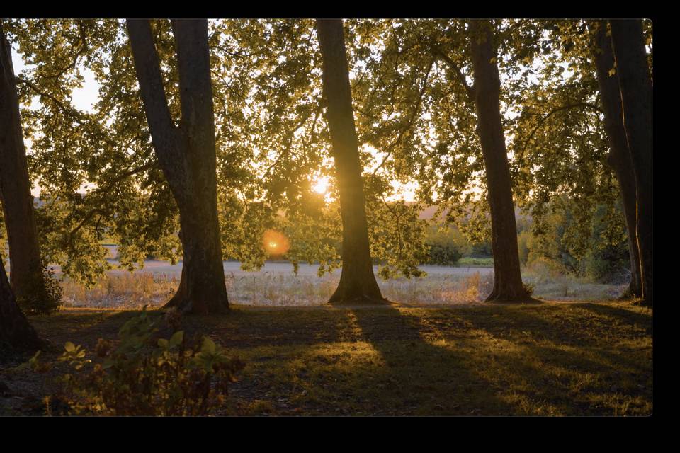 Nature au coucher de soleil