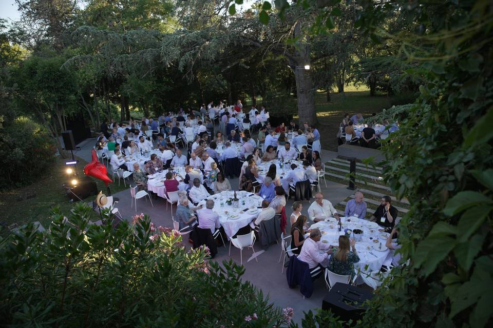 Dîner sous les cèdres