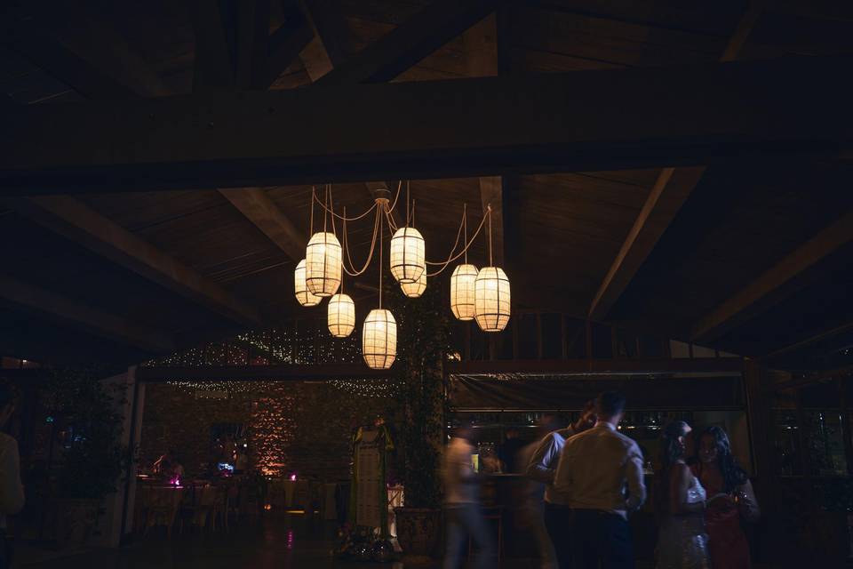Light