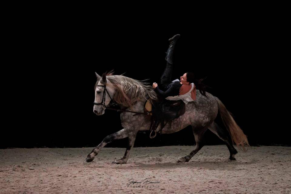 Spectacle équestre