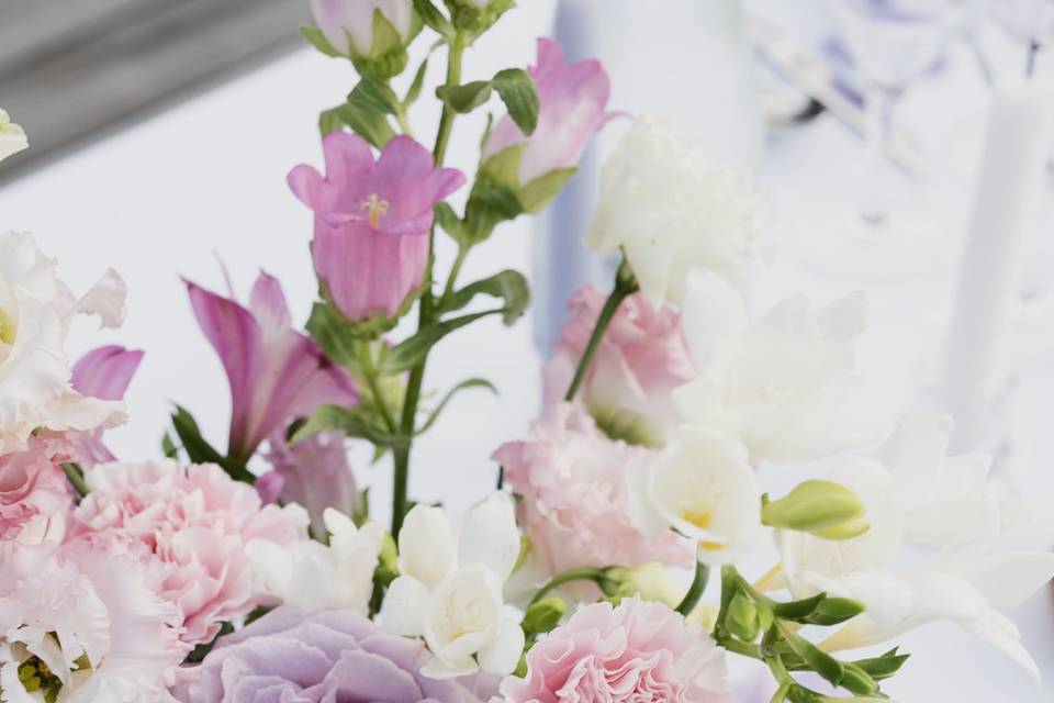 Soliflores fleuris