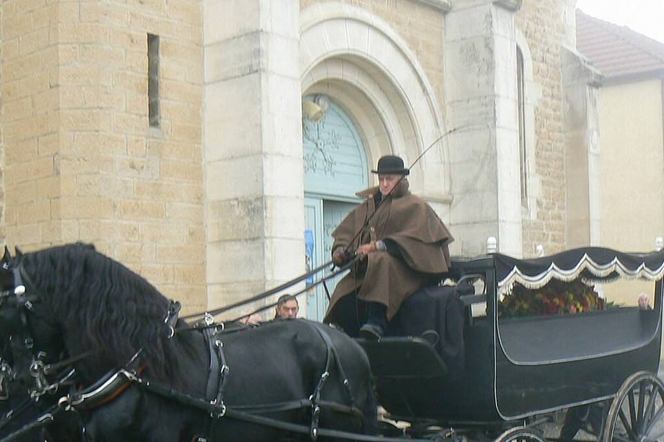 Attelage Dubois et ses Frisons