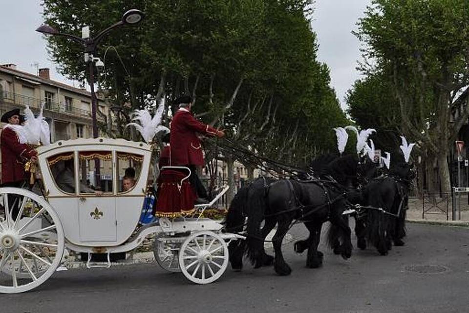 Attelage Dubois et ses Frisons