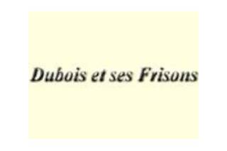 Attelage Dubois et ses Frisons