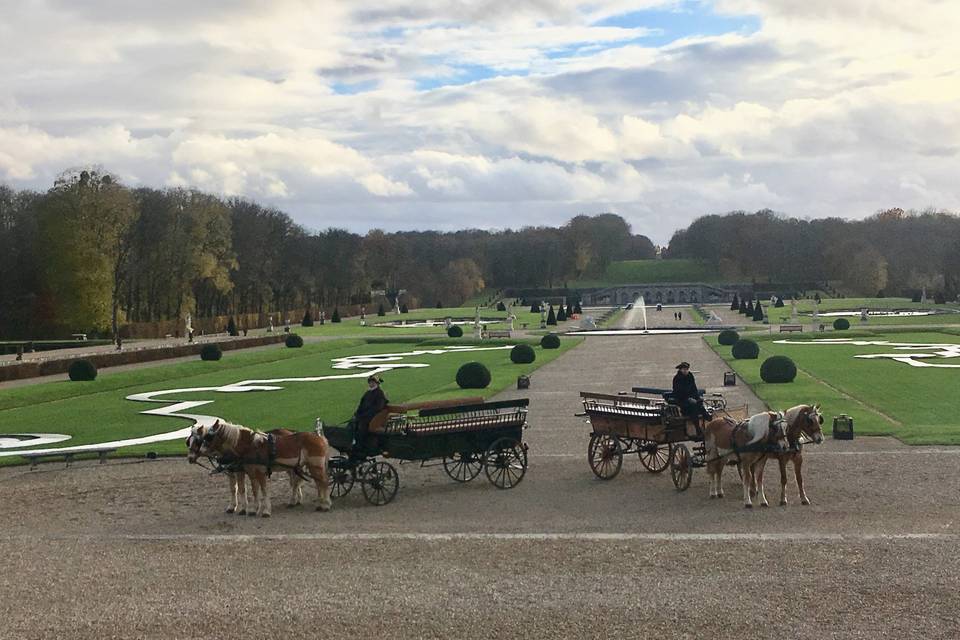 Calèches pour invités