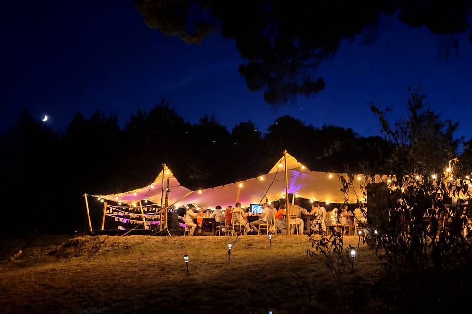 Stretch nuit guirlandes
