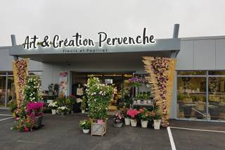 Art et Création Pervenche