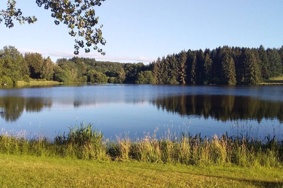Domaine du Balbuzard
