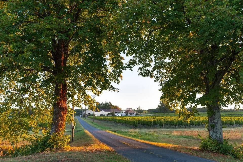 Entrée domaine