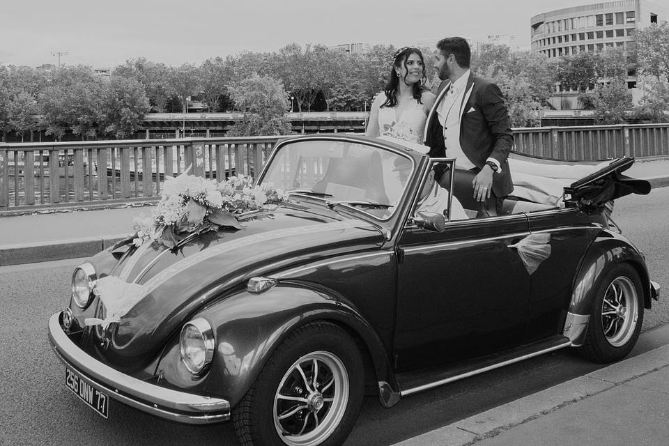 Coccinelle