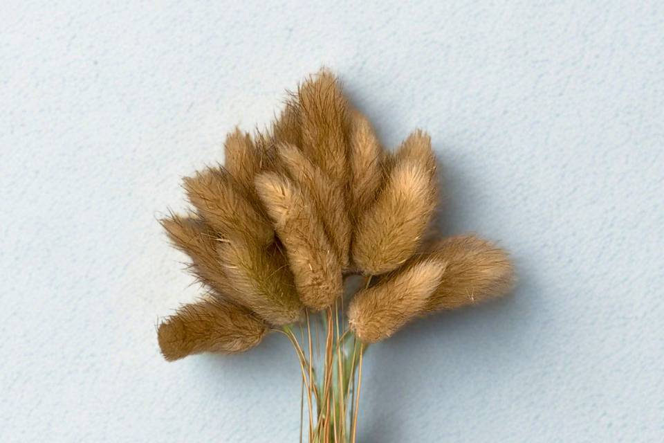 Fleurs naturelles