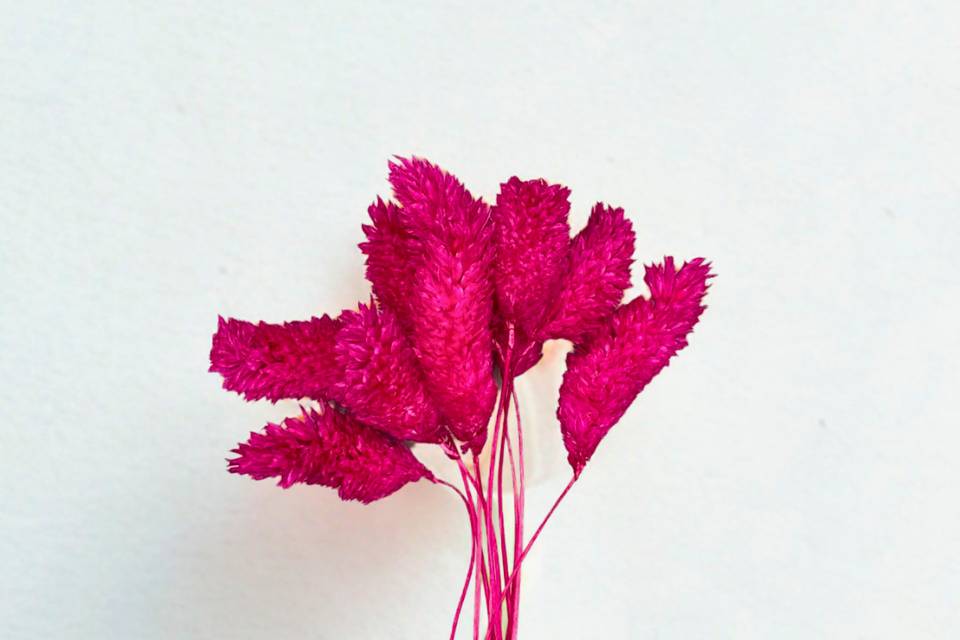 Fleurs naturelles