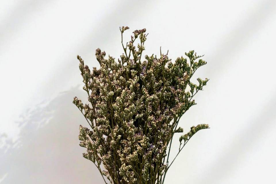 Fleurs naturelles