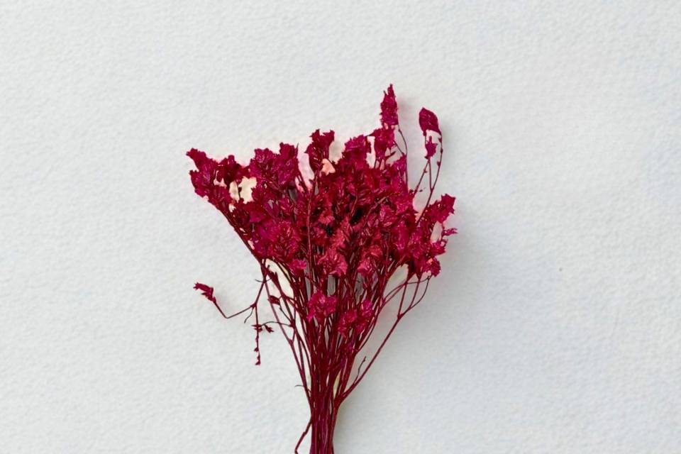 Fleurs naturelles