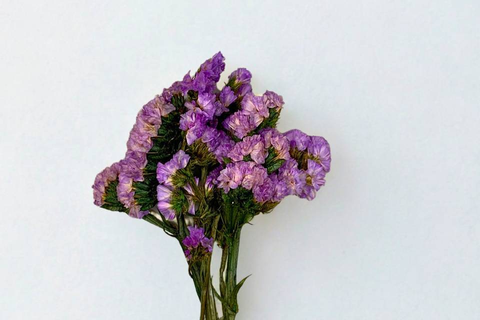 Fleurs naturelles