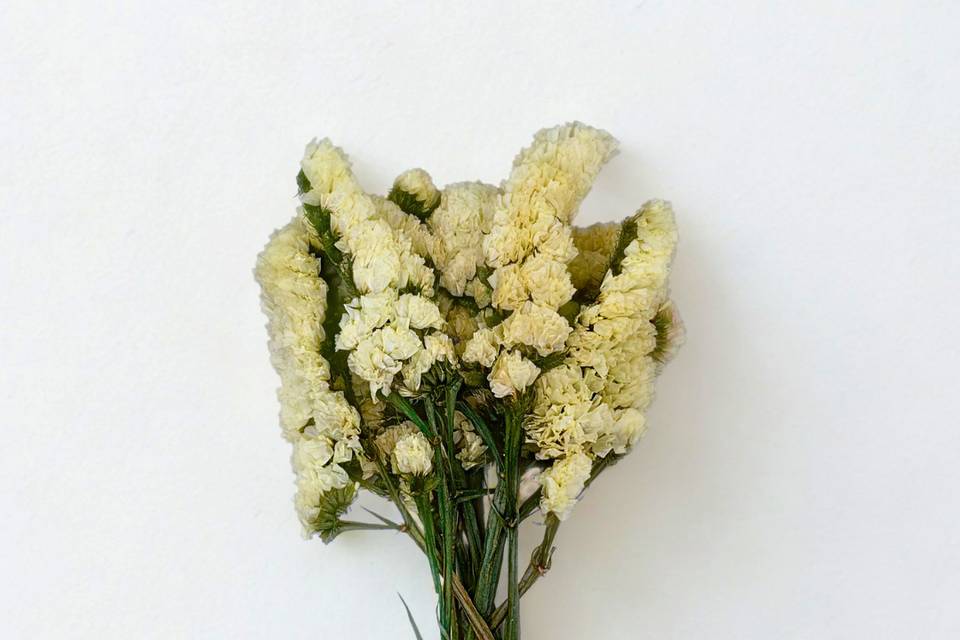 Fleurs naturelles