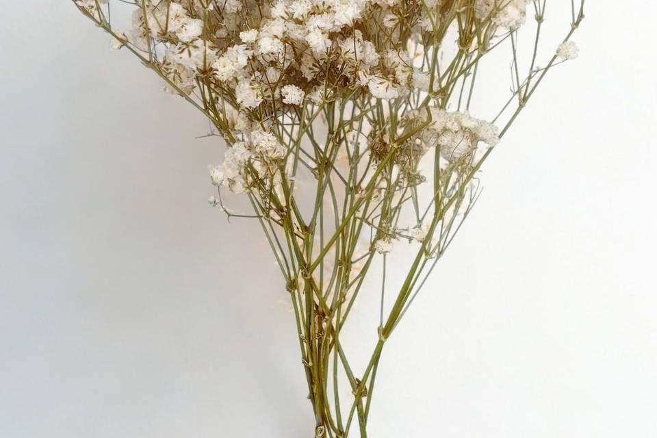 Fleurs naturelles