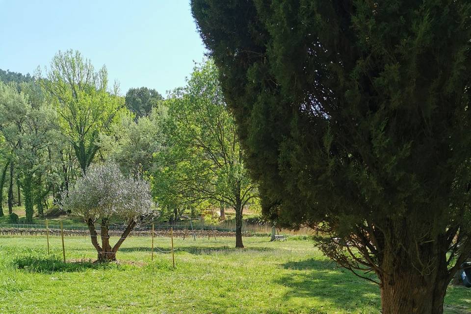 Vue du parc de 1,2 hectare