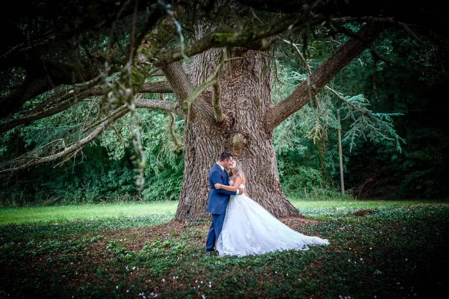 Arbre centenaire