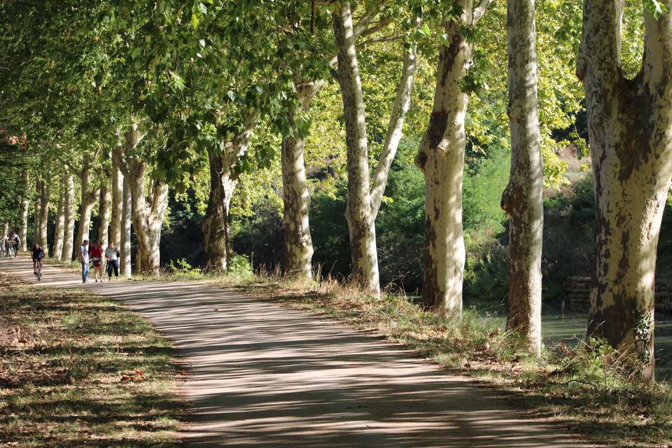 Chemin