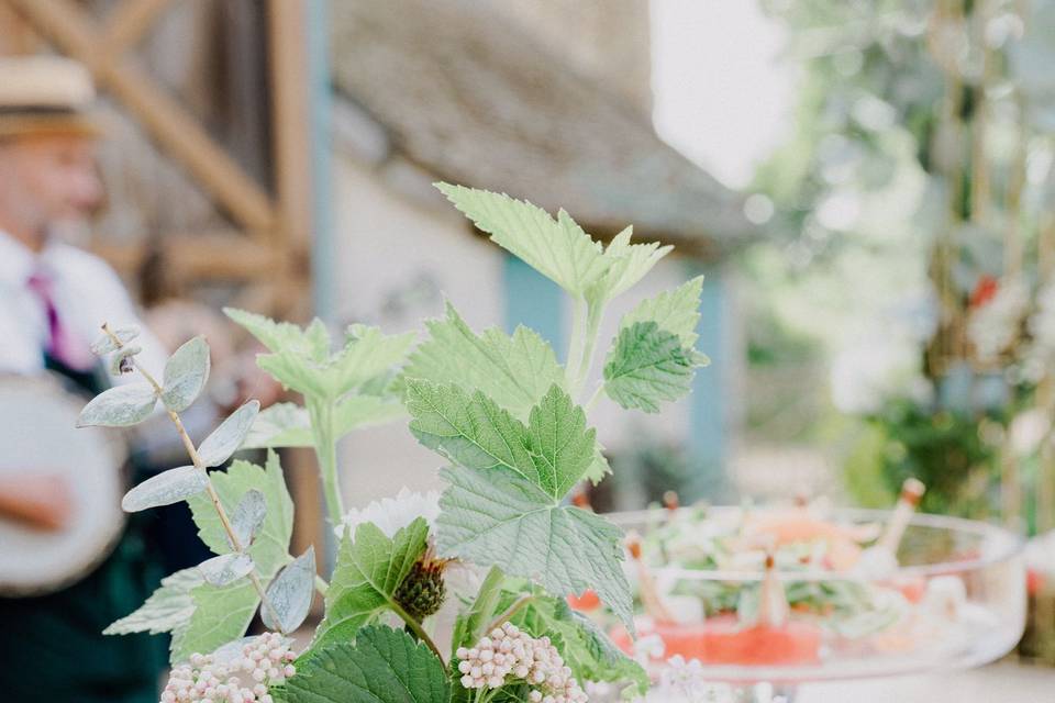 Fleurs de Coton