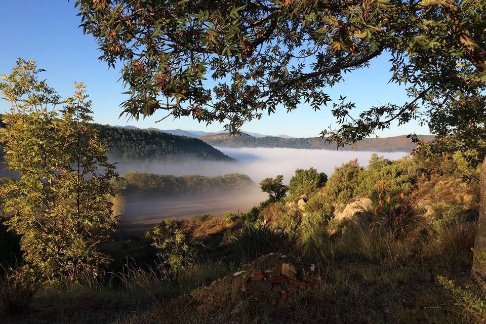 Un matin magique au Domaine