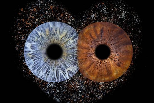 Effet passion 2 iris