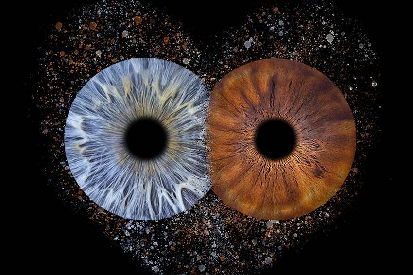 Effet passion 2 iris