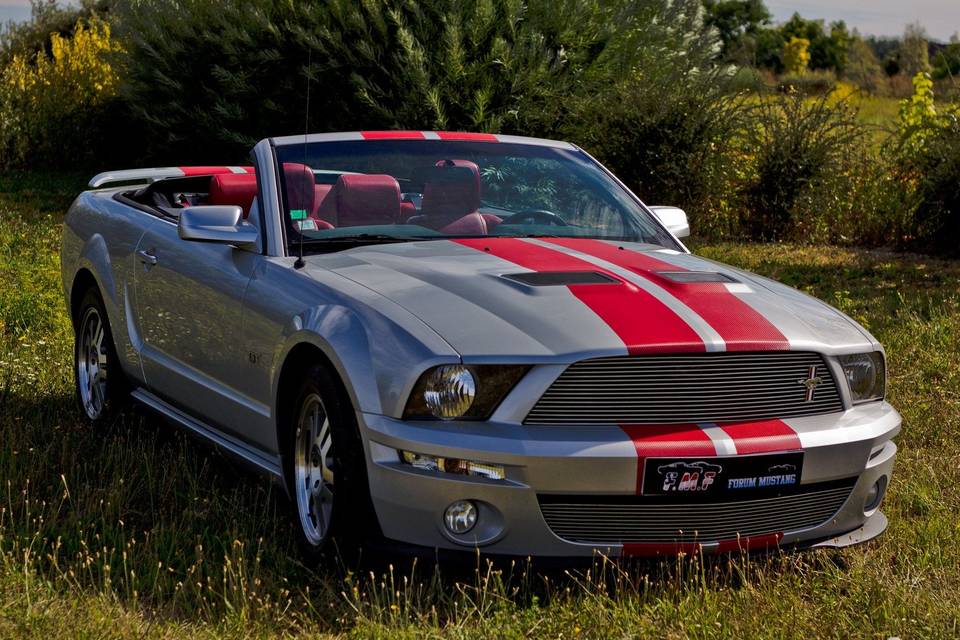 Mustang