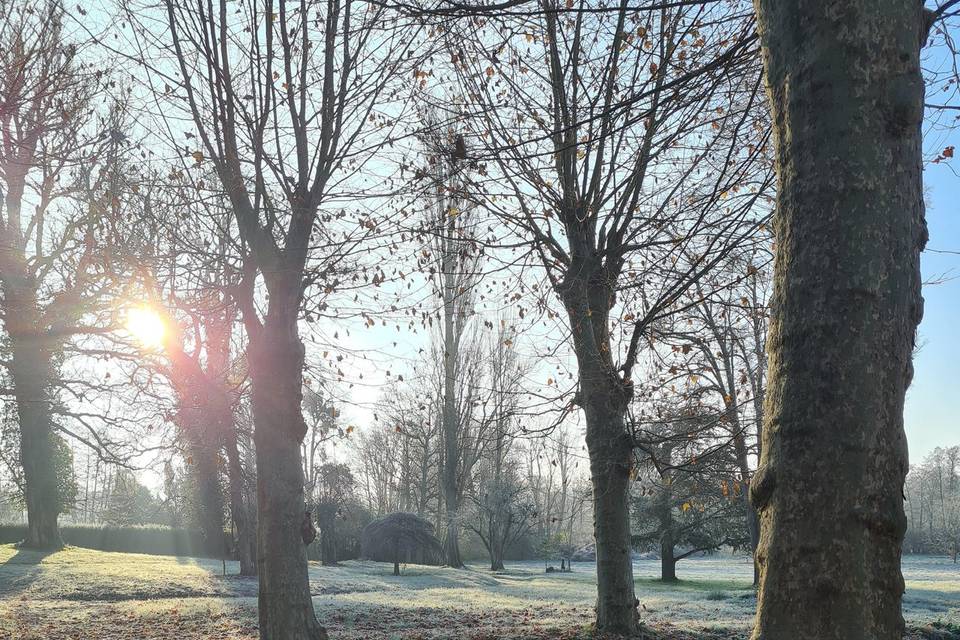 Les bassins en décembre