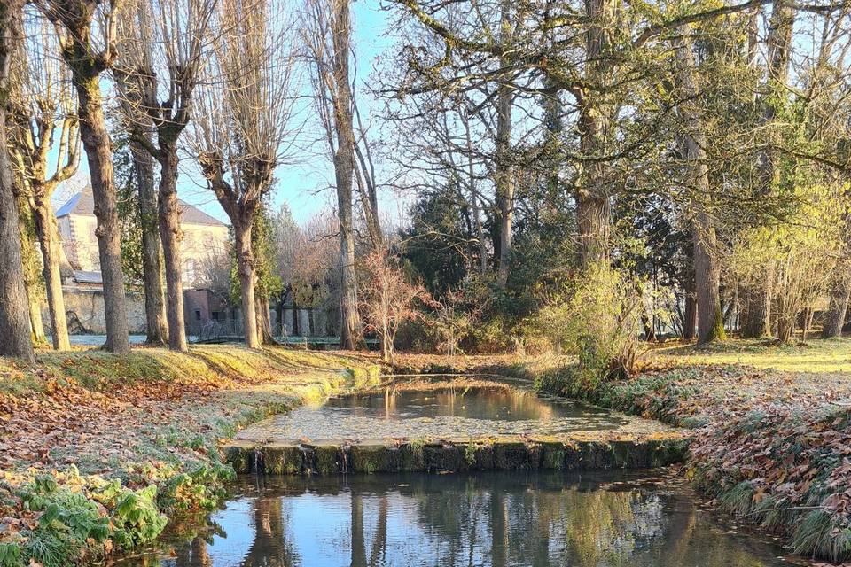 Les bassins en décembre