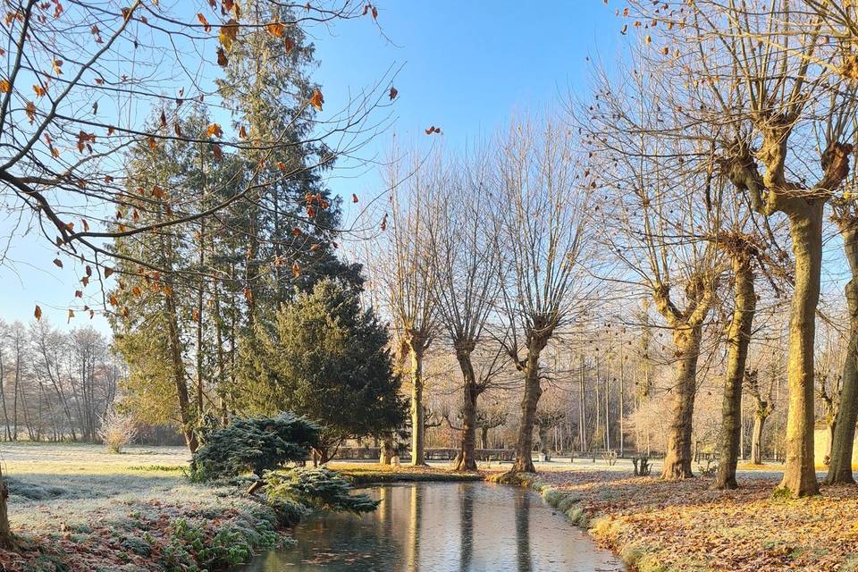 Les bassins en décembre