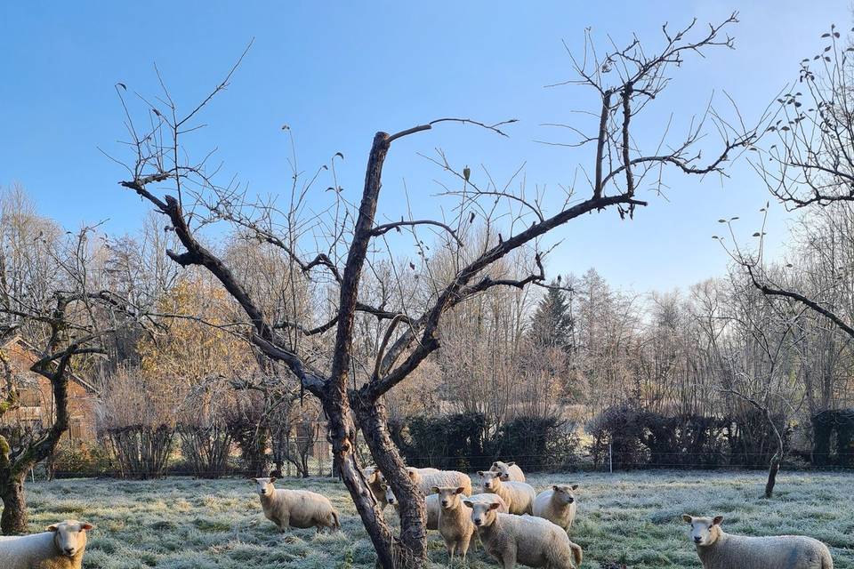 Le Fort en décembre